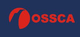 Регулировочный элемент, центральный замок OSSCA 13286
