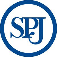Наружное зеркало SPJ E-2931